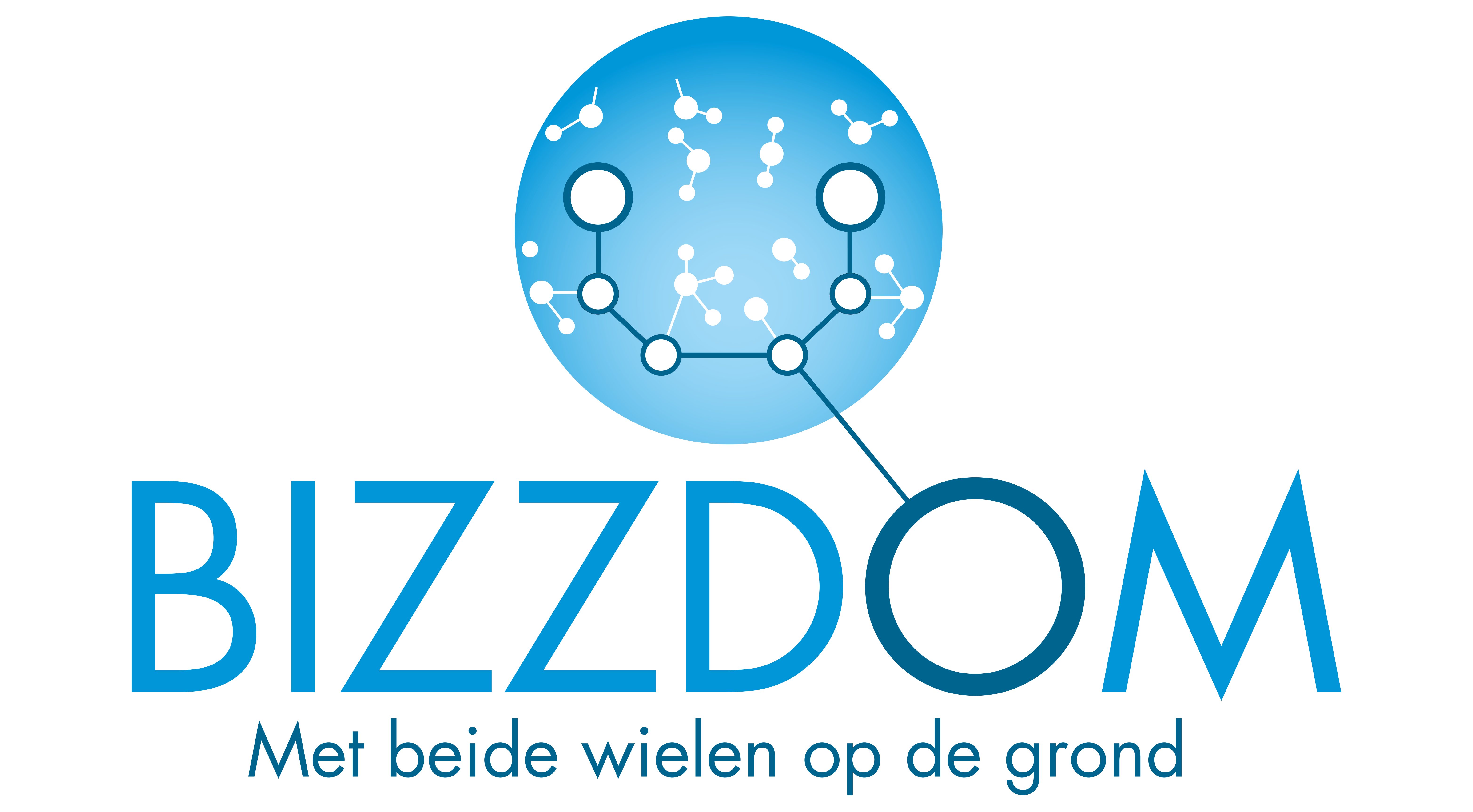 BizzDom Logo